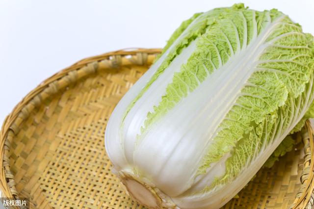 今年山东什么时候种大白菜最好,在山东什么时候种大白菜好(2)