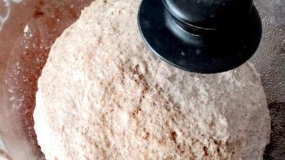 全麦面包的做法烤箱视频,100%全麦面包的烤箱做法(4)