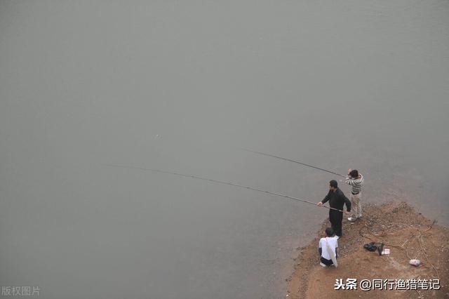 夏天阴天大雾好钓鱼吗,夏天的大雾天气适合钓鱼吗(1)