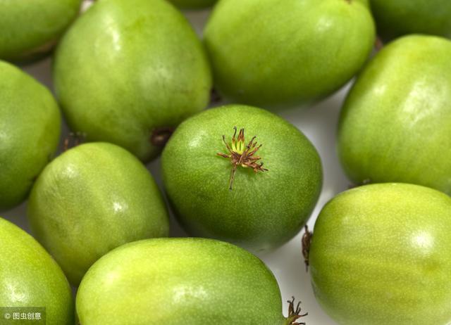 软枣猕猴桃图片及品种介绍,软枣猕猴桃品种依次排名(5)