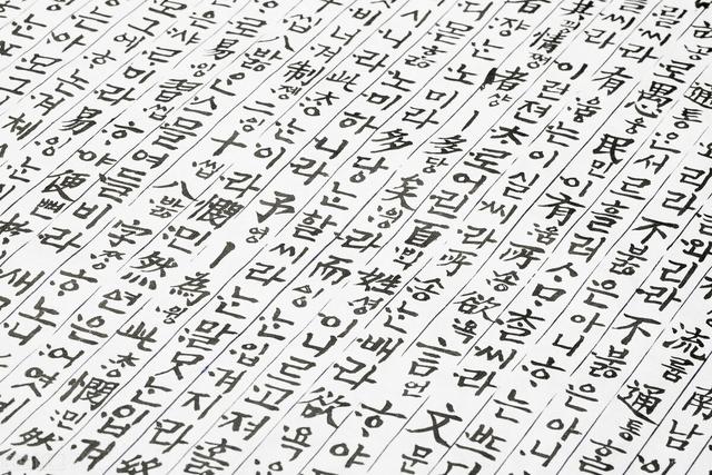 朝鲜恢复汉字了吗,朝鲜消除了汉字吗(4)