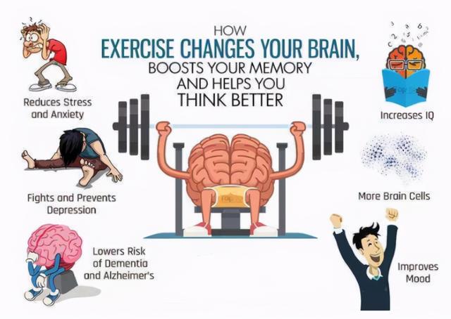 锻炼大脑最佳的办法,大脑灵活度训练方法(2)