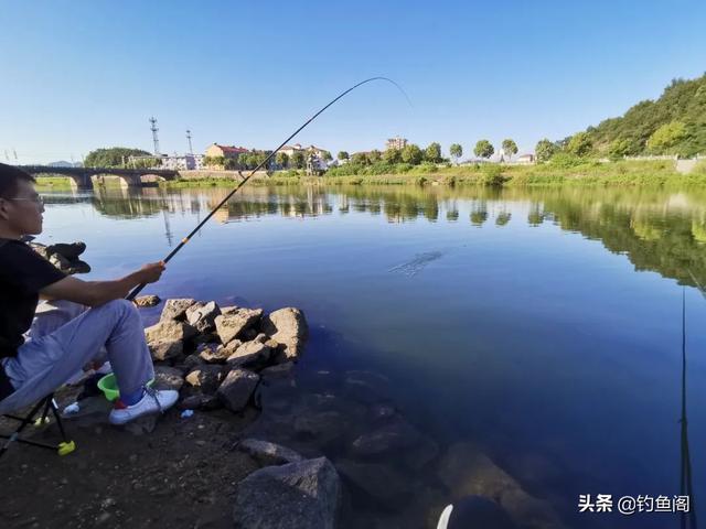 怎样在岸边钓大鱼,河里怎么钓大鱼最好(5)