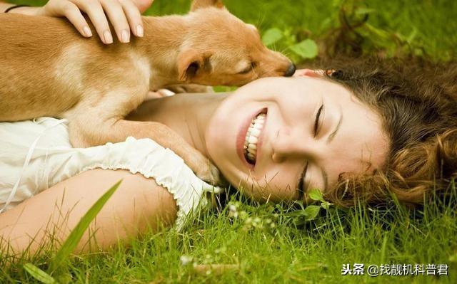 单身养狗女心理有问题,女生不能养大狗的原因(3)