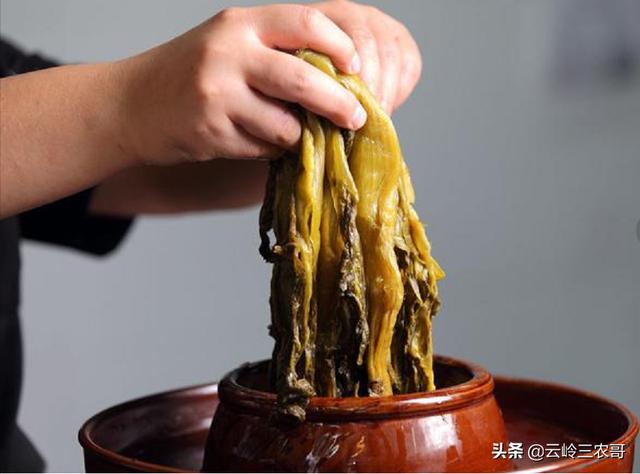 山西人如何吃芥菜酸菜,山西阳泉腌芥菜酸菜的方法(3)
