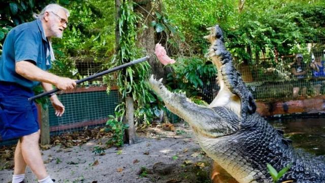 世上十大巨型鳄鱼,世界上最大的鳄鱼排名(4)