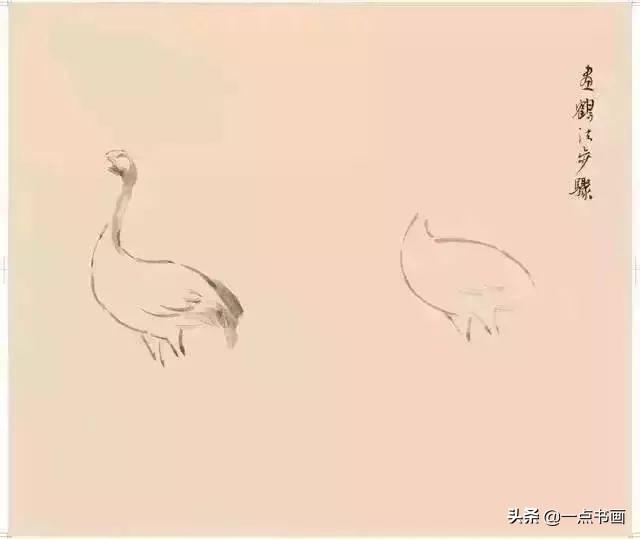 仙鹤的画法初学者,仙鹤的入门画法(3)