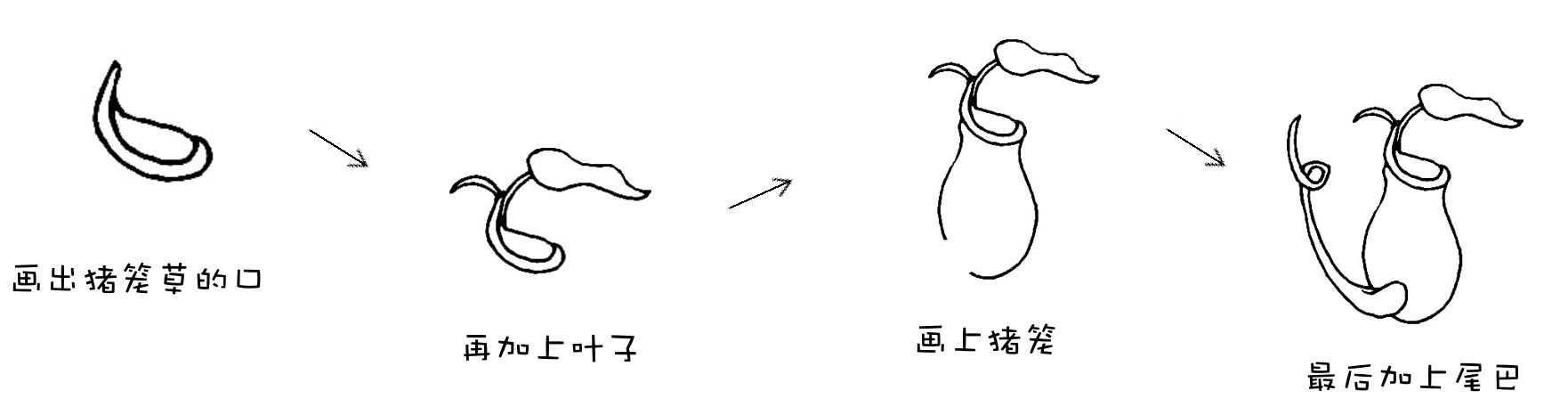 猪笼草简笔画,捕蝇草的简笔画(1)