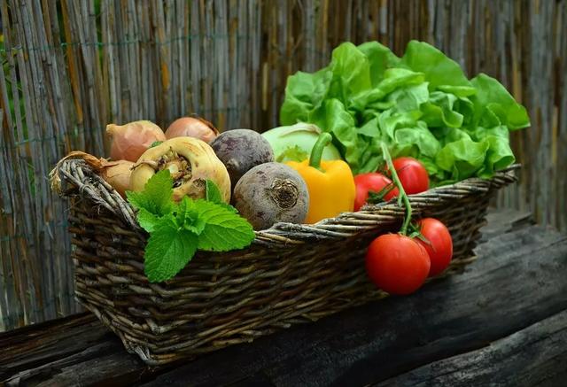 鲜小根菜怎么保存,冬季小根菜的储存方法(1)