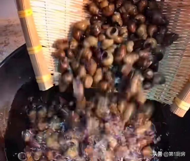 螺丝菜的酱制方法视频,北方人腌制螺丝菜配方(3)