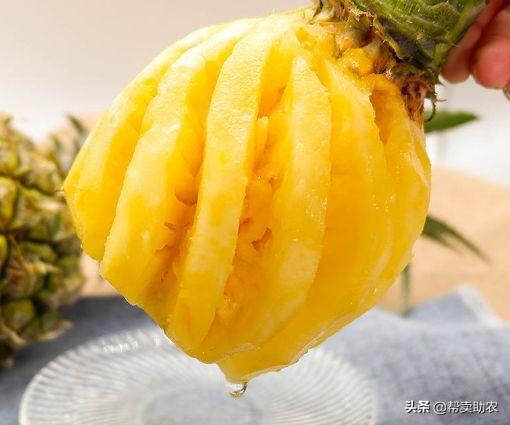 香水菠萝什么时候成熟,徐闻菠萝没人敢买(1)