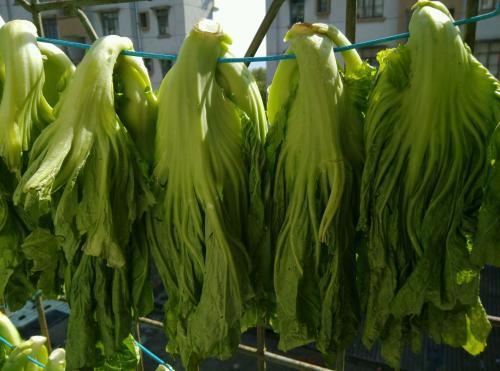 干酸菜快速做法,怎样自己制作干酸菜(2)