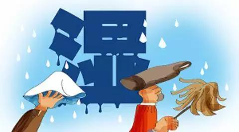 石菖蒲泡水喝的功效,石菖蒲泡水喝的功效与禁忌北京卫视养生堂(4)