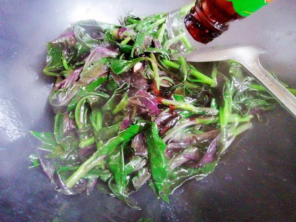 紫贝菜煲汤功效与作用,紫贝菜的禁忌与副作用(2)