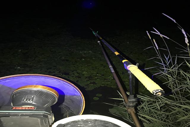 晚上钓鱼技巧,夜钓的七个口诀(2)