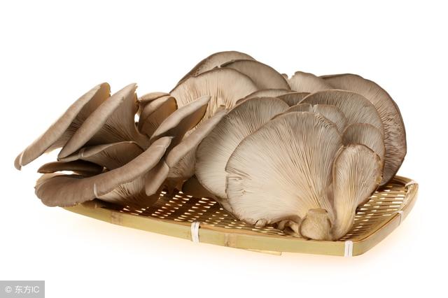 蘑菇能和黄花菜一起煮吗,干黄花菜可以和蘑菇一起炖鸡汤吗(3)