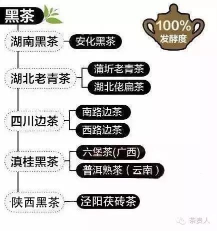 茶叶最详细分类,我国茶叶分类大全(1)