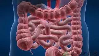 肠炎与肠癌的最大区别症状,肠镜如何辨别肠炎与肠癌(1)