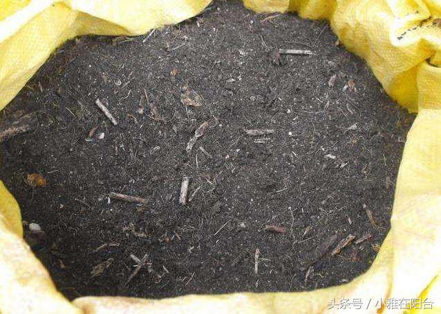 煤渣可以改良土壤板结吗,板结土质可以用锯末改良吗(4)