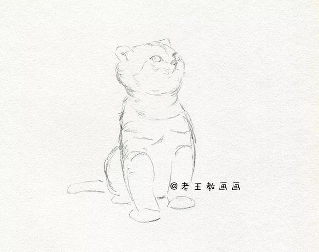 小猫素描画法步骤视频(简单),初学素描入门画小猫步骤(4)