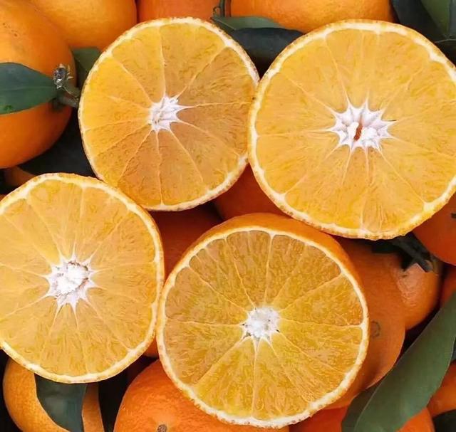 爱媛柑橘来历,爱媛果冻橙与桔子的区别图片(3)