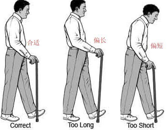 手杖使用时手杖可弯曲多少,手杖最佳长度(2)