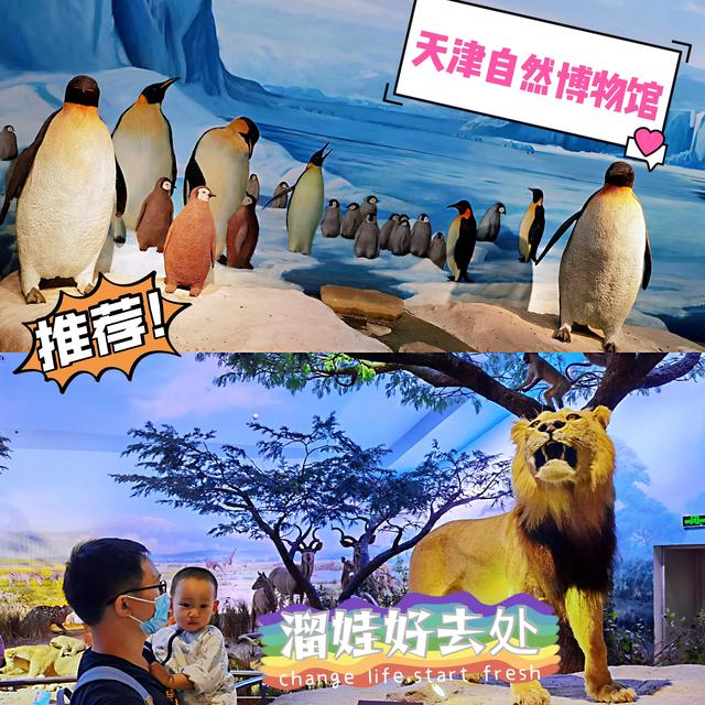 天津自然博物馆免费么,天津市自然博物馆需要预约吗(1)