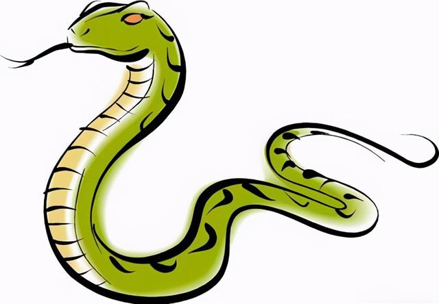 属蛇的寿命有多长死于什么病,属蛇的人大多数能活到多少岁(2)