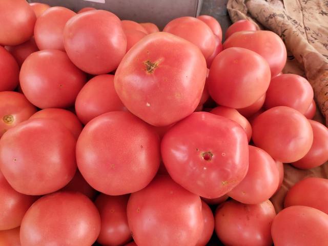 西红柿怎么制作才好吃,西红柿正确做法(1)