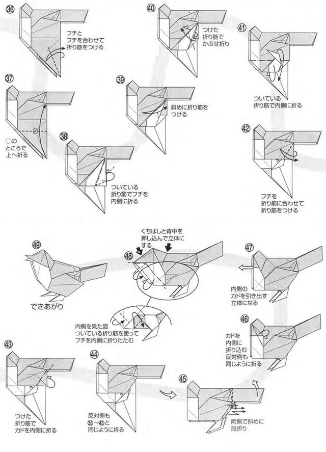怎么用纸折小鸟简单又漂亮,纸折立体小鸟的步骤图(5)