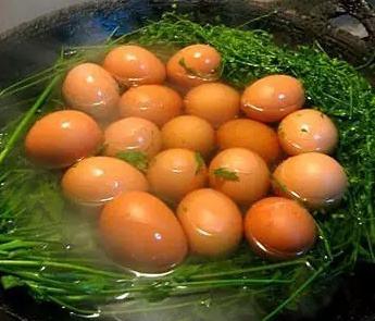为什么用艾草煮鸡蛋,艾草煮鸡蛋有什么效果(2)