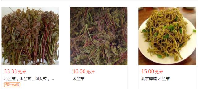 三种人不宜吃木兰芽,木兰芽的功效和禁忌(2)