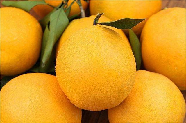 橙子怎么切才能不弄脏嘴,橙子怎么切才能完整的吃到(2)