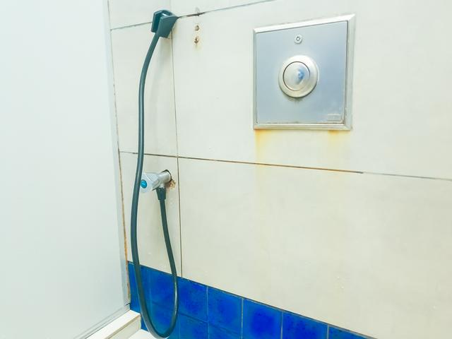 洗澡喷头管子叫什么,浴室上面的大喷头叫什么(3)