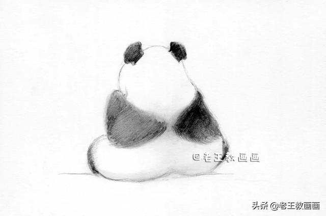 一步一步学画熊猫,一步一步画熊猫(7)