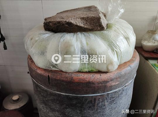 东北酸菜的腌制方法,塑料桶能腌酸菜吗(5)