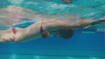 蝶泳腿部动作要领,蝶泳技术动作要领(3)