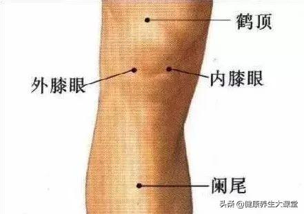 艾灸膝盖的正确方法图解,半月板损伤艾灸的正确方法图解(3)