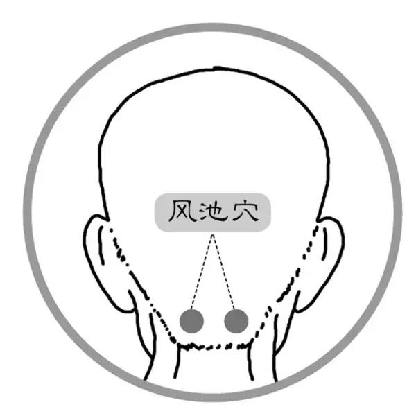 脖部穴的准确位置图,颈部阿是穴的准确位置图(2)