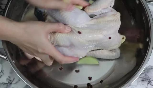 鸡肉广东煲汤做法,广东鸡肉煲汤食谱大全(4)