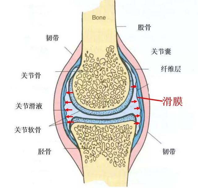 跑步脚疼部位对照表,跑步脚痛的位置图片(3)