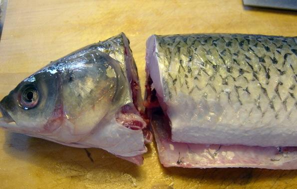 水煮鱼片最正宗的做法,水煮鱼片怎么做(1)