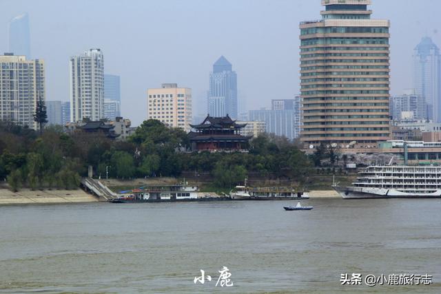 武汉相当于几个上海,武汉地理位置比上海好吗(2)