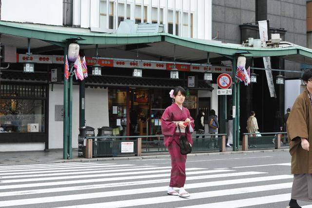 日本遵守交通规则照片,日本交通规则与中国不同的(4)