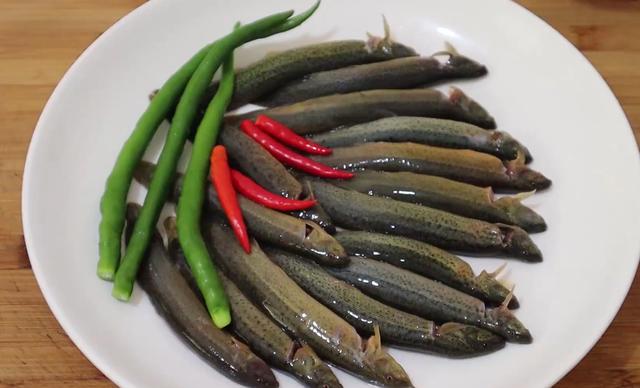 正宗泥鳅的做法红烧泥鳅,最简单的红烧泥鳅的做法(1)