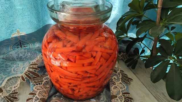 正宗腌萝卜10斤萝卜多少盐,萝卜埋土的正确方法(1)