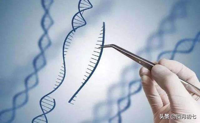 基因工程中最重要的一步,(3)