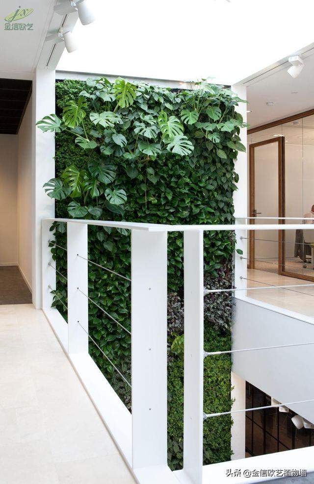 植物墙的制作过程,福建垂直植物墙的制作过程(2)