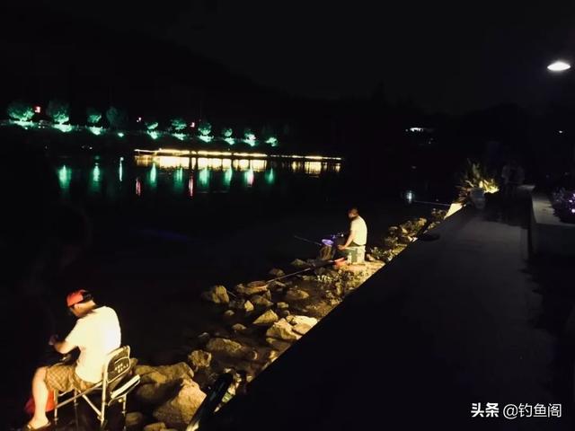 江河钓鱼用什么样的夜光漂好,钓鱼选什么样的夜光漂经济实惠(4)