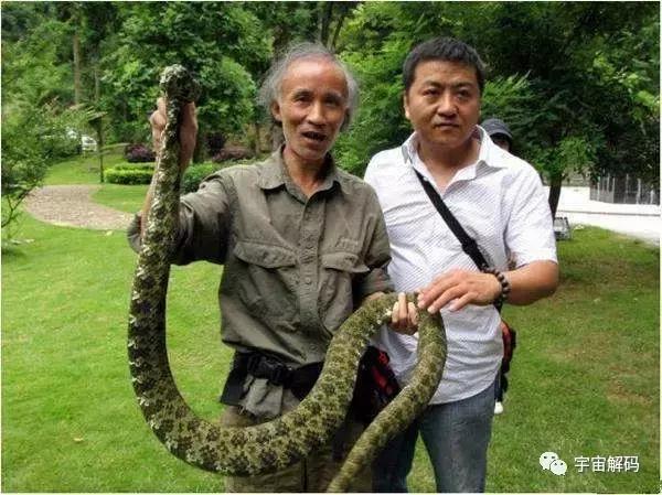 什么蛇最贵,中国最贵的蛇是什么蛇(1)